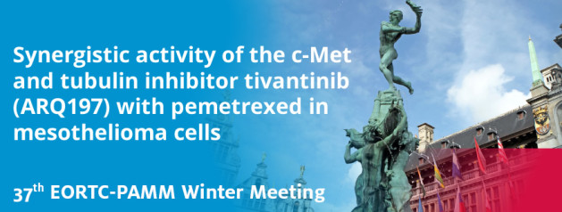 Synergistic activity of the c-Met and tubulin inhibitor tivantinib (ARQ197) with pemetrexed in mesothelioma cells
